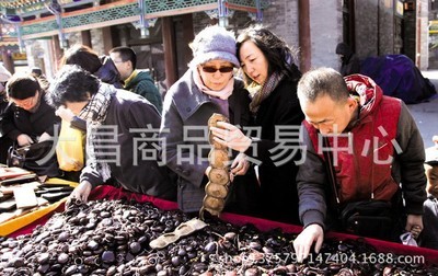 批发采购植物工艺品-火爆产品罗汉豆,平安豆批发,龙豆,送销售录音 跑江湖平安豆批.